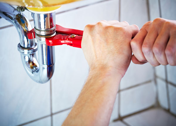 About Muse Plumbers